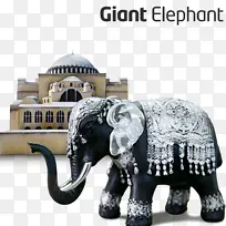 泰国非洲象印度象-泰国象创意