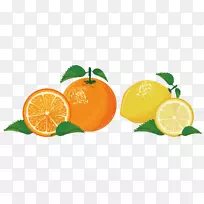 柠檬橘子橙柠檬料