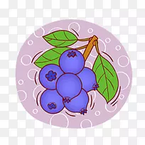 葡萄插图-蓝莓图标