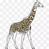 你是一只长颈鹿的绘画剪贴画-高个子长颈鹿