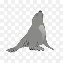 无耳海豹海狮剪贴画海狮