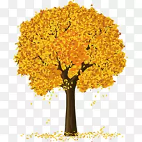 树木剪贴画-苹果树