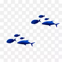 海军蓝热带鱼海豚-深蓝色热带鱼装饰图案