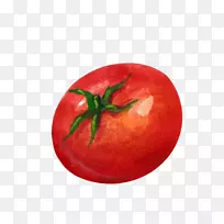 番茄蔬菜插图-红色西红柿