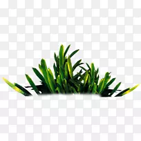 下载-GRASS