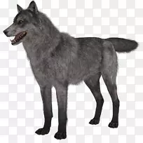 拉布拉多猎犬北极狼小狗夹艺术-狼犬