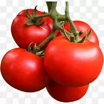 有机食品bhurta番茄baingan bharta种子-载体番茄