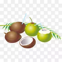 椰子水果-精致水果椰子
