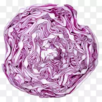 大白菜花椰菜素菜.紫色卷心菜