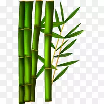 纸竹夹艺术.绿竹
