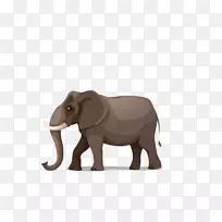 非洲大象卡通插图-大象