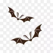 蝙蝠万圣节杰克-奥-灯笼-万圣节蝙蝠框架