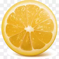 柠檬橙剪贴画.柠檬片装饰