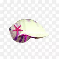 海螺白色粉红色-白色海螺粉红色海星