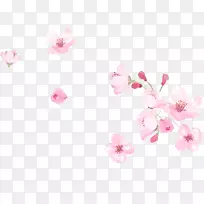 粉红樱花剪贴画-小鲜红樱花