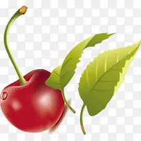 樱桃剪贴画-绿叶，红色水果，樱桃载体