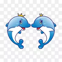 海豚动物-海豚宝宝