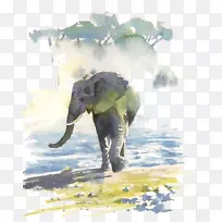 黑泽尔·桑斯非洲水彩纸水彩画画家-涉水大象