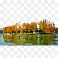 武汉大学东湖武昌区西湖扬子湖-武汉东湖景观摄影图。