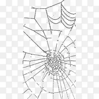 蜘蛛网纸摄影图案-黑白蜘蛛网蜘蛛