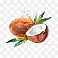 椰子水椰奶水彩画.手绘水彩椰子