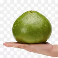 关键酸橙柚子波斯酸橙柚子-挥动绿色柚子砧木形象