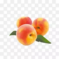 桃子砧木摄影西瓜食品-桃子
