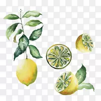 斯堪的纳维亚海报柠檬水彩画-柠檬水彩创意涂鸦