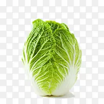山东生菜大白菜什奇蔬菜鲜卷心菜