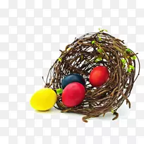 食用鸟巢蛋