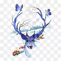创造性水彩鹿水彩画插图-水彩画鹿