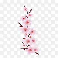 樱花枝条-飞溅樱桃图案