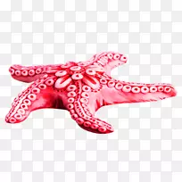 海星剪贴画-粉红色海星