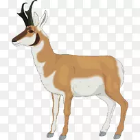 羚羊叉角夹艺术-橙色鹿