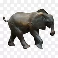 非洲象印度象剪贴画一只大象