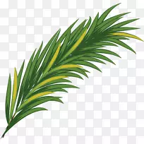 绿色水彩画叶-简单的绿草