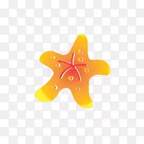 海星动物卡通海星载体