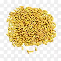 杂交水稻谷物干燥米-一堆大米