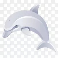 普通宽吻海豚短喙普通海豚图库溪卡通海豚