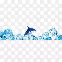 蓝色冰海豚字体-冰海豚
