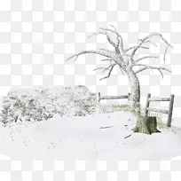 摄影冬季雪枝