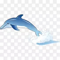 普通宽吻海豚批发图库溪卡通海豚-海豚材料