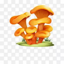 香菇剪贴画-蘑菇，真菌