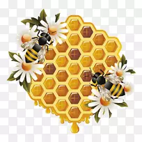 西方蜜蜂蜂巢大黄蜂剪贴画-蜂蜜