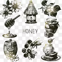 蜜蜂画图.画蜜蜂和蜂蜜