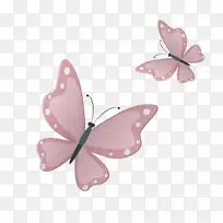 蝴蝶谷歌图片下载-粉红色蝴蝶