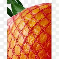 桔子蜜柚圣诞水果橙子柚子