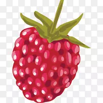 草莓红覆盆子载体-红树莓