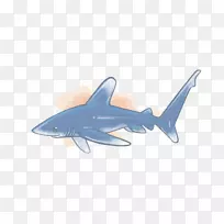 鲨鱼鲨鱼