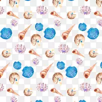 贝壳海螺彩绘海螺和贝壳无缝背景